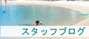 ワールドコネクション スタッフブログ